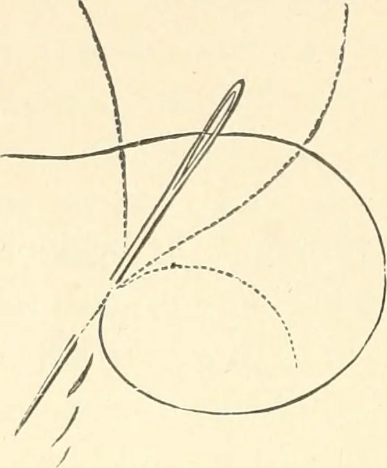 An illustration from Dainty work for pleasure and profit, 1891, leaf 57