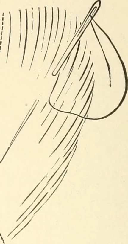 An illustration from Dainty work for pleasure and profit, 1891, leaf 59