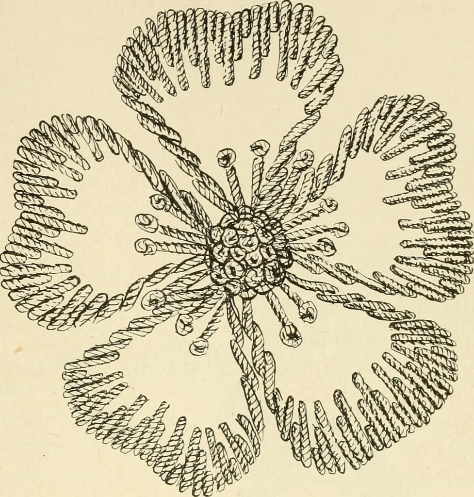 An illustration from Dainty work for pleasure and profit, 1891, leaf 60