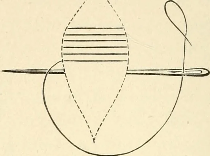 An illustration from Dainty work for pleasure and profit, 1891, leaf 61
