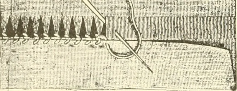 An illustration from Dainty work for pleasure and profit, 1891, leaf 65