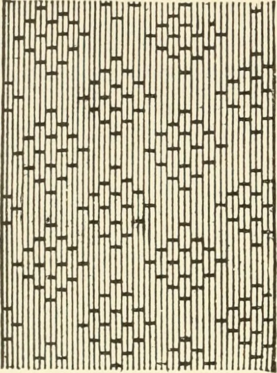 An illustration from Dainty work for pleasure and profit, 1891, leaf 67
