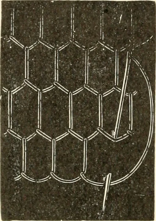An illustration from Dainty work for pleasure and profit, 1891, leaf 69