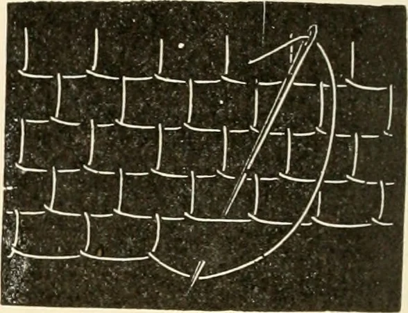 An illustration from Dainty work for pleasure and profit, 1891, leaf 69