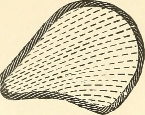 An illustration from Dainty work for pleasure and profit, 1891, leaf 71