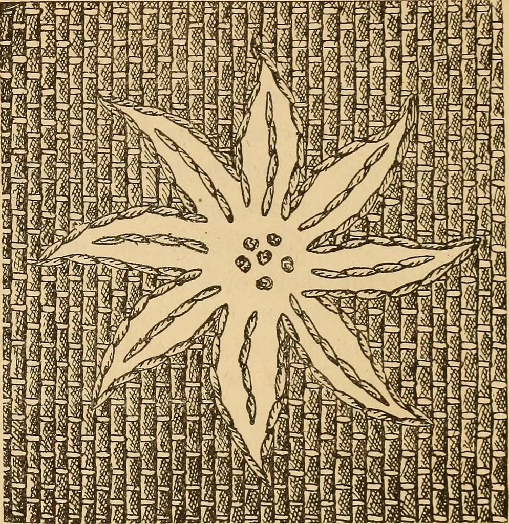 An illustration from Dainty work for pleasure and profit, 1893, leaf 105