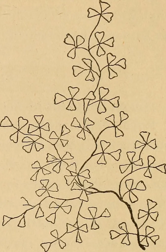 An illustration from Dainty work for pleasure and profit, 1893, leaf 109