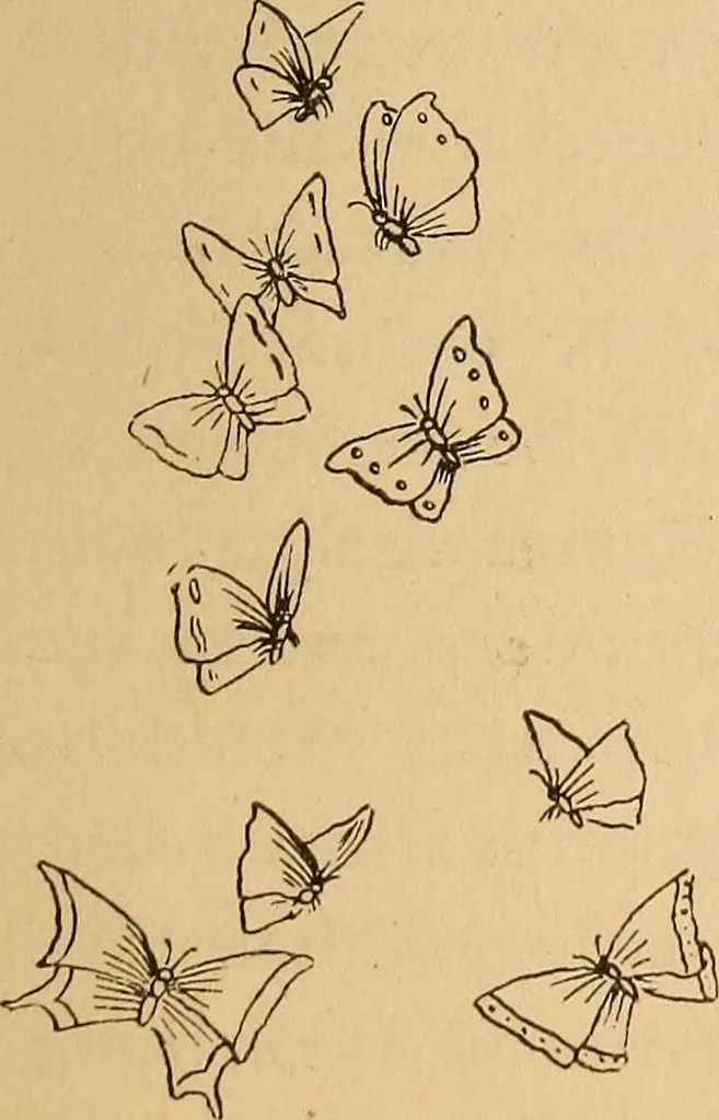 An illustration from Dainty work for pleasure and profit, 1893, leaf 109