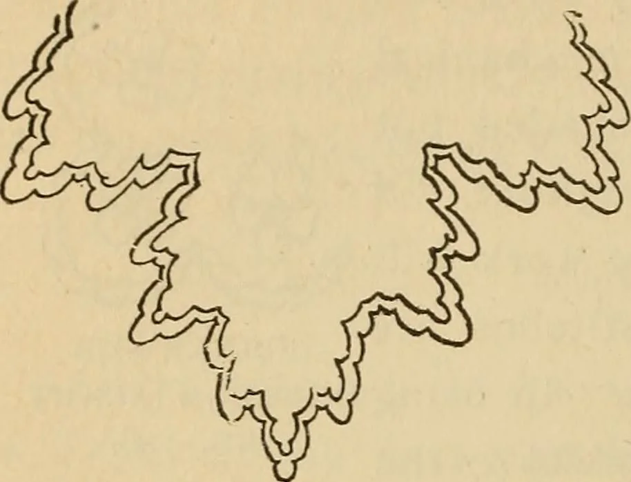 An illustration from Dainty work for pleasure and profit, 1893, leaf 112