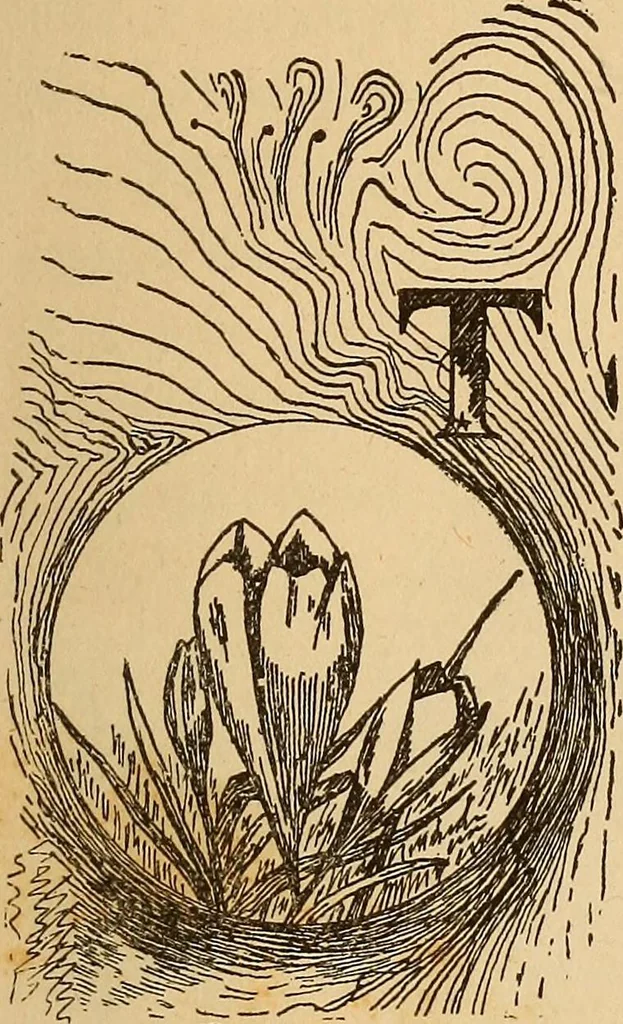 An illustration from Dainty work for pleasure and profit, 1893, leaf 115