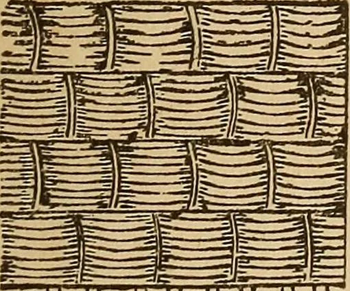 An illustration from Dainty work for pleasure and profit, 1893, leaf 119