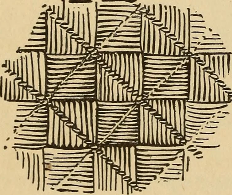 An illustration from Dainty work for pleasure and profit, 1893, leaf 12