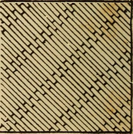 An illustration from Dainty work for pleasure and profit, 1893, leaf 120