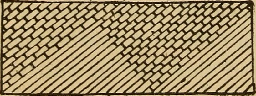 An illustration from Dainty work for pleasure and profit, 1893, leaf 120