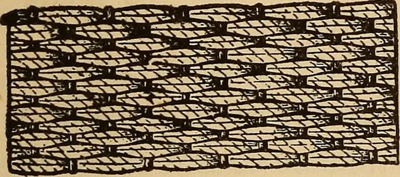An illustration from Dainty work for pleasure and profit, 1893, leaf 121