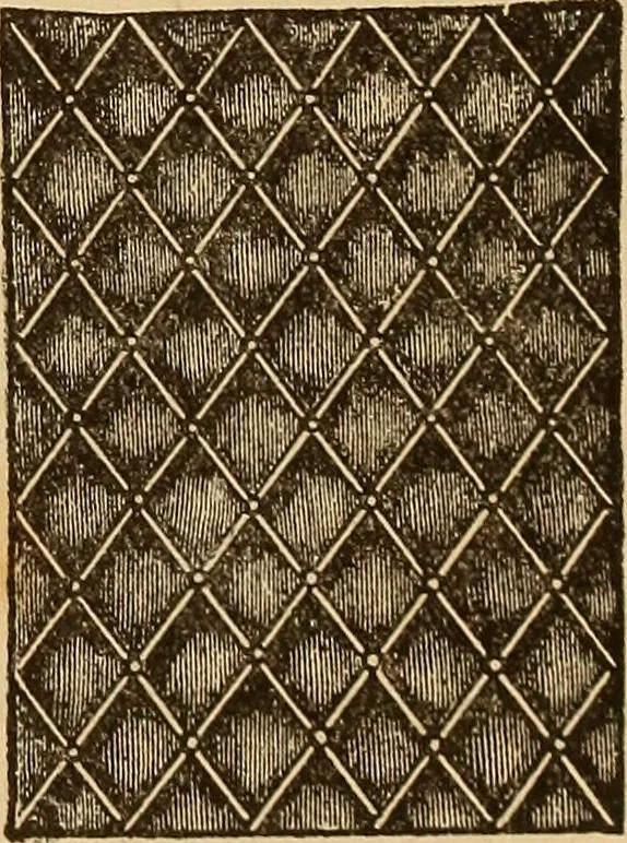 An illustration from Dainty work for pleasure and profit, 1893, leaf 121