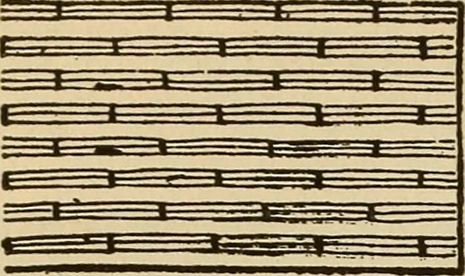 An illustration from Dainty work for pleasure and profit, 1893, leaf 122
