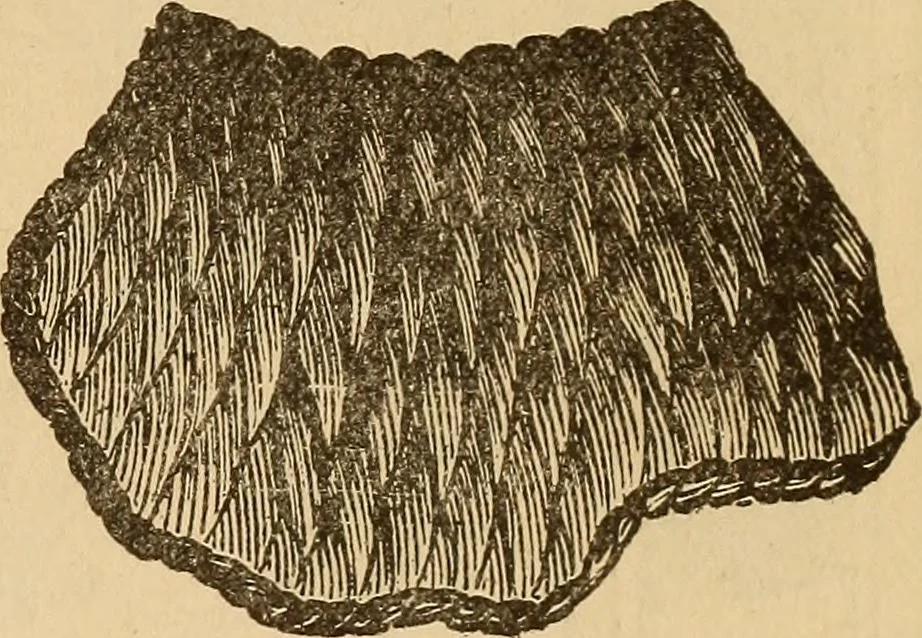 An illustration from Dainty work for pleasure and profit, 1893, leaf 125