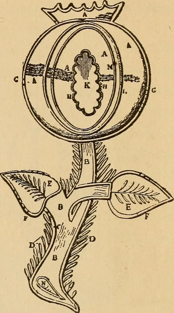 An illustration from Dainty work for pleasure and profit, 1893, leaf 127