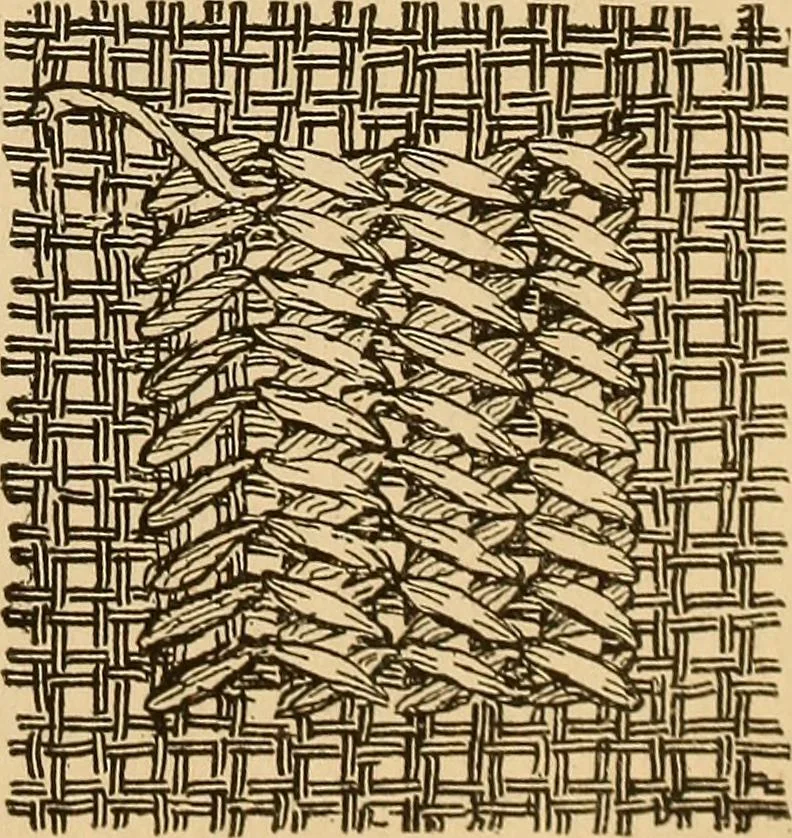 An illustration from Dainty work for pleasure and profit, 1893, leaf 143