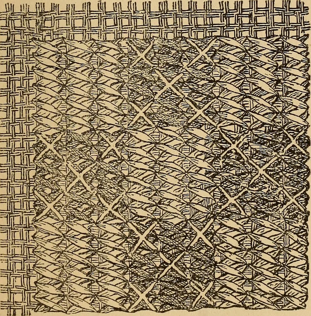 An illustration from Dainty work for pleasure and profit, 1893, leaf 147