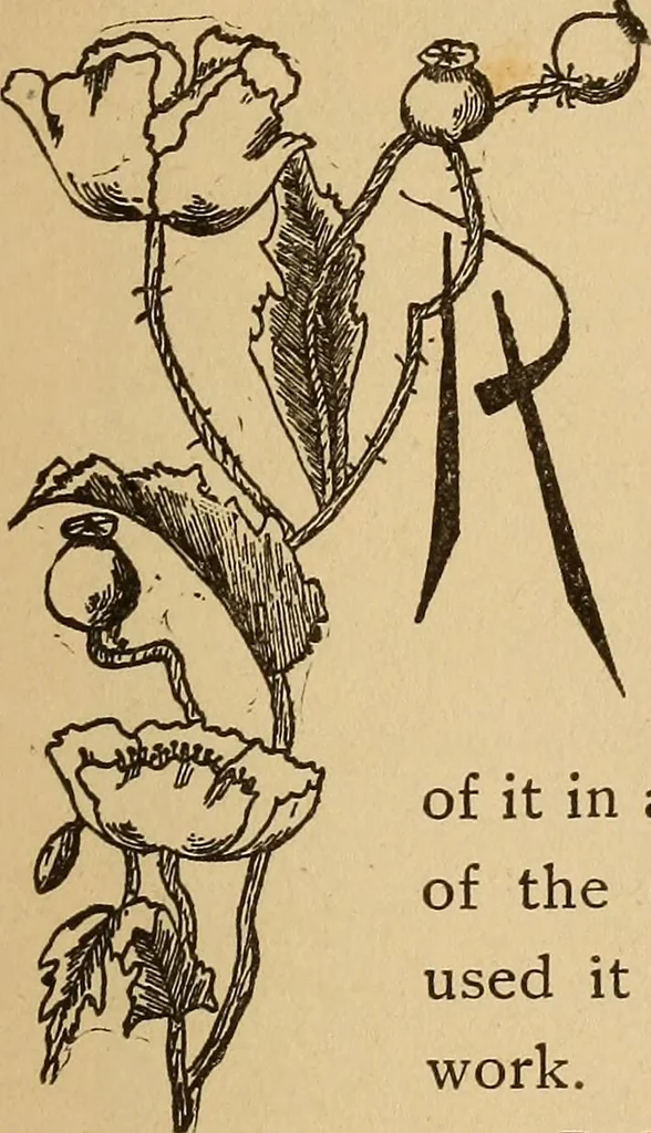 An illustration from Dainty work for pleasure and profit, 1893, leaf 149