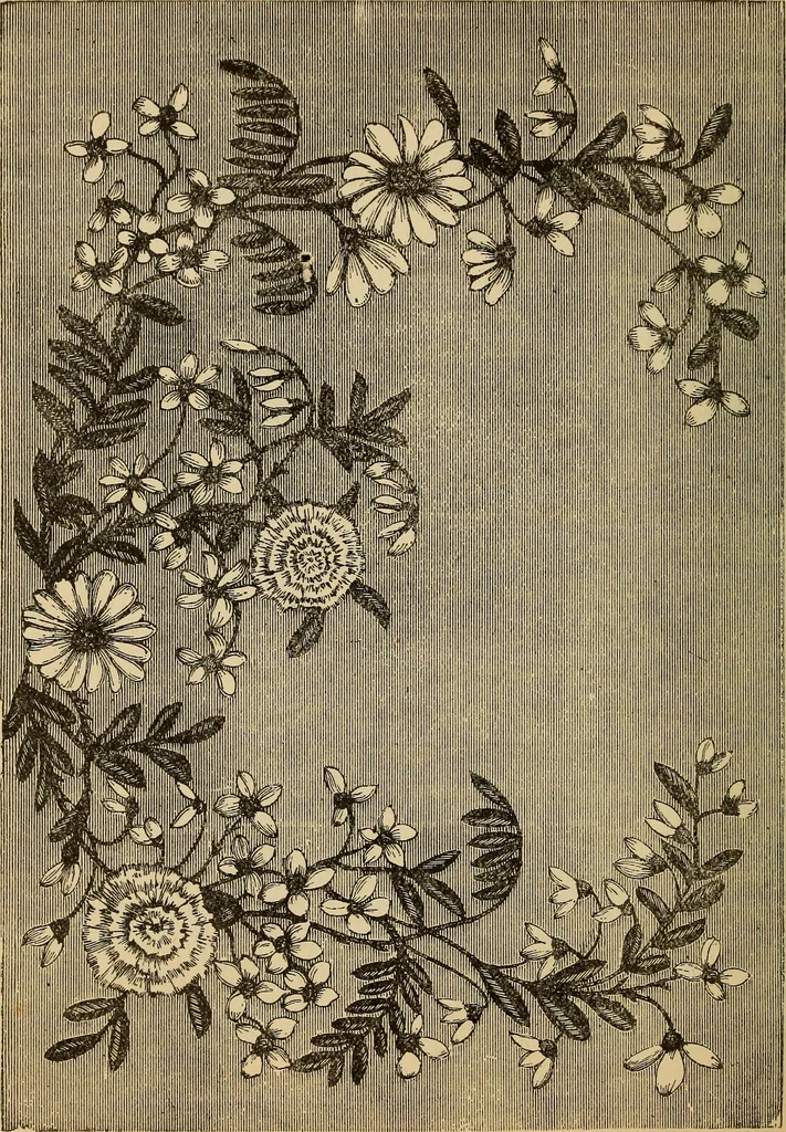 An illustration from Dainty work for pleasure and profit, 1893, leaf 150