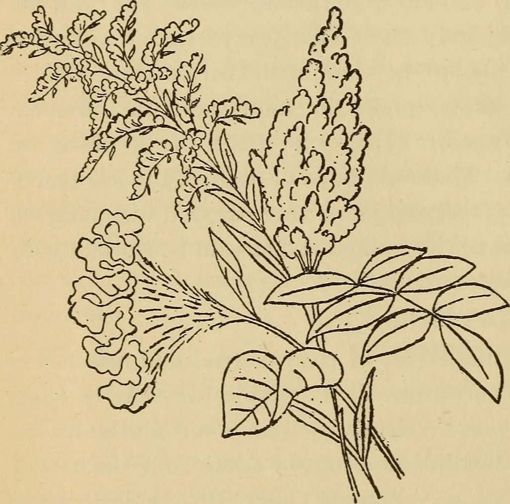 An illustration from Dainty work for pleasure and profit, 1893, leaf 164