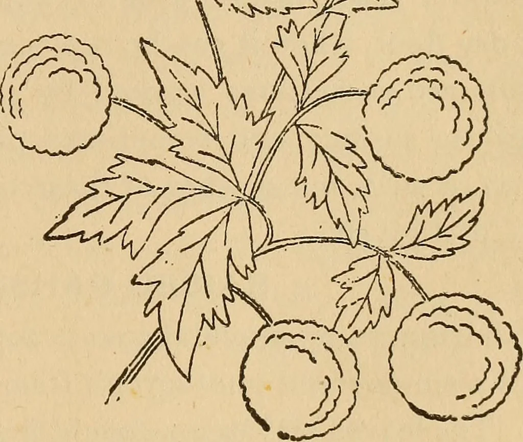 An illustration from Dainty work for pleasure and profit, 1893, leaf 167
