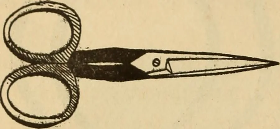 An illustration from Dainty work for pleasure and profit, 1893, leaf 18