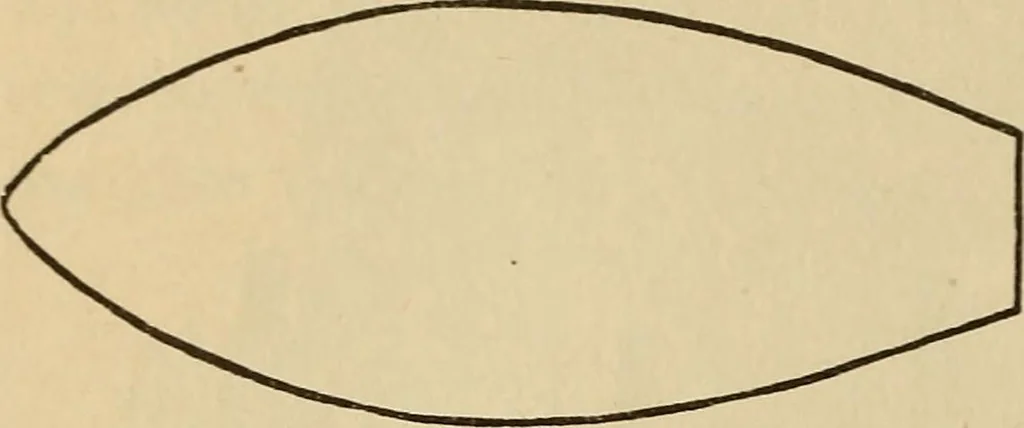 An illustration from Dainty work for pleasure and profit, 1893, leaf 180