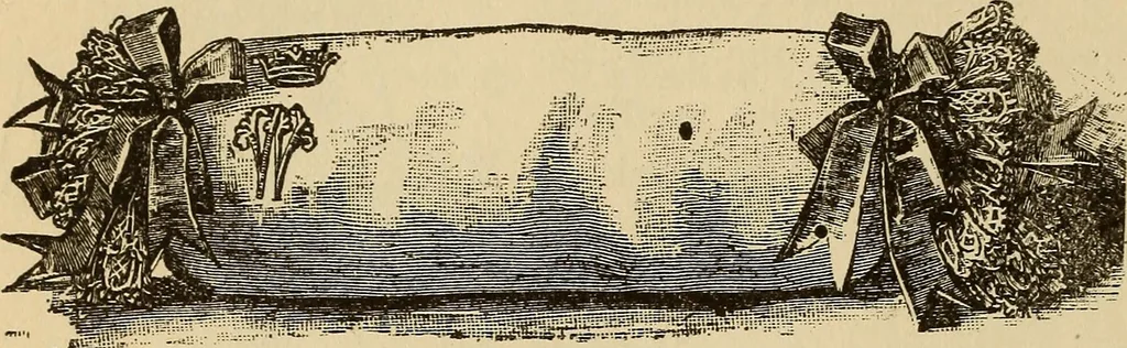 An illustration from Dainty work for pleasure and profit, 1893, leaf 186