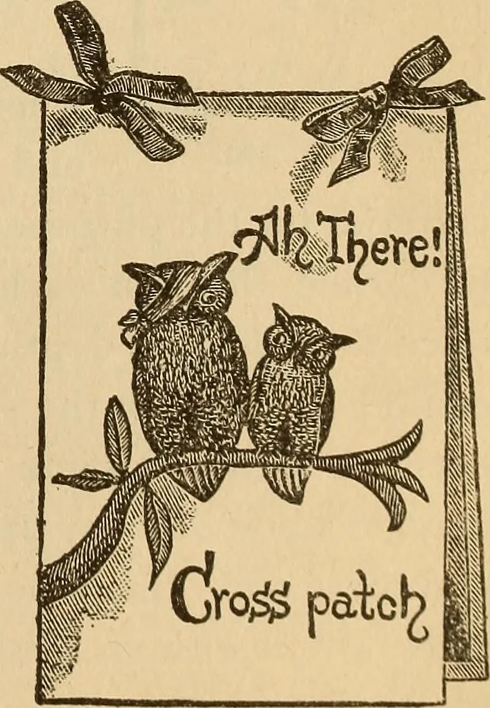 An illustration from Dainty work for pleasure and profit, 1893, leaf 199
