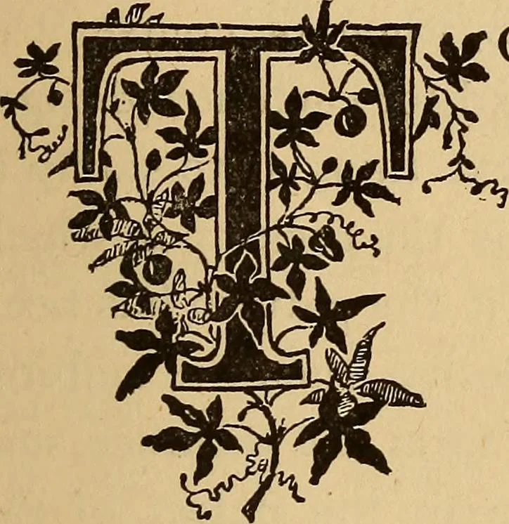 An illustration from Dainty work for pleasure and profit, 1893, leaf 21