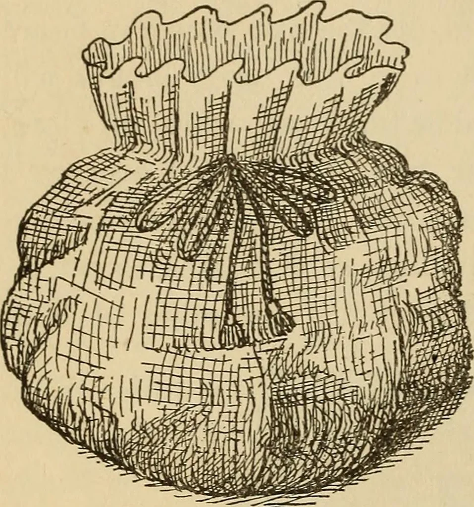 An illustration from Dainty work for pleasure and profit, 1893, leaf 222