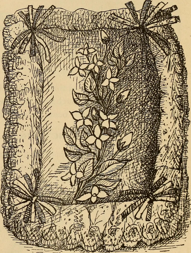An illustration from Dainty work for pleasure and profit, 1893, leaf 225