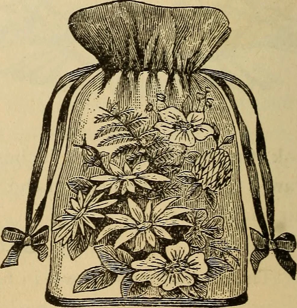 An illustration from Dainty work for pleasure and profit, 1893, leaf 232
