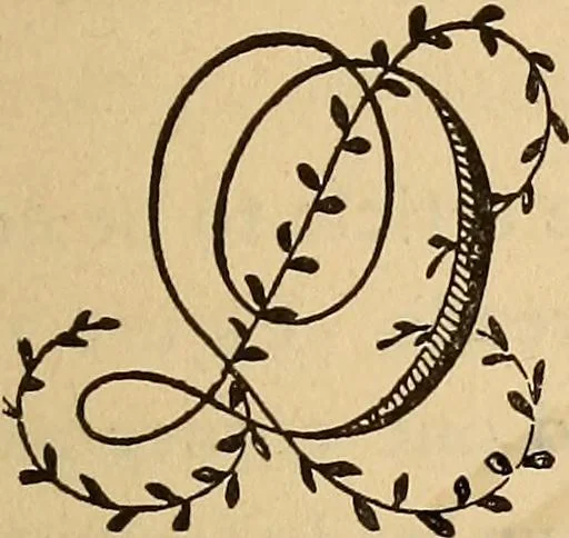 An illustration from Dainty work for pleasure and profit, 1893, leaf 241