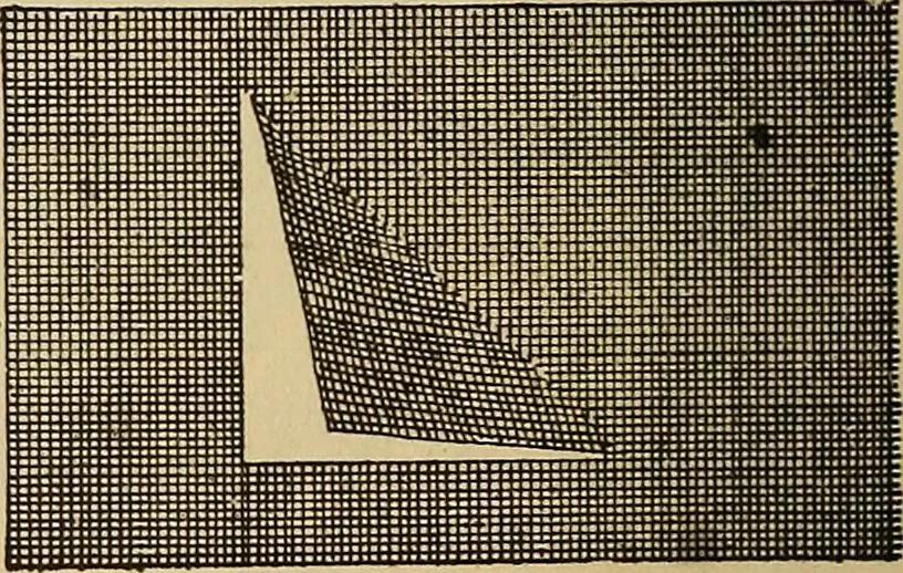An illustration from Dainty work for pleasure and profit, 1893, leaf 242