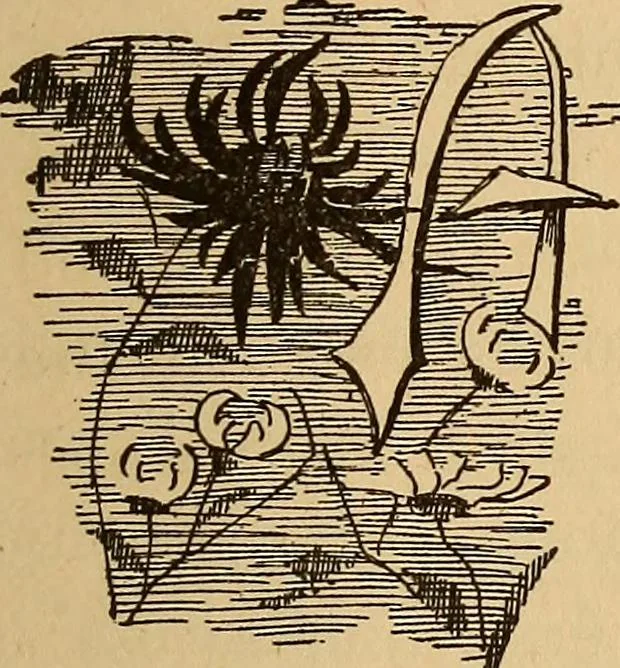 An illustration from Dainty work for pleasure and profit, 1893, leaf 27