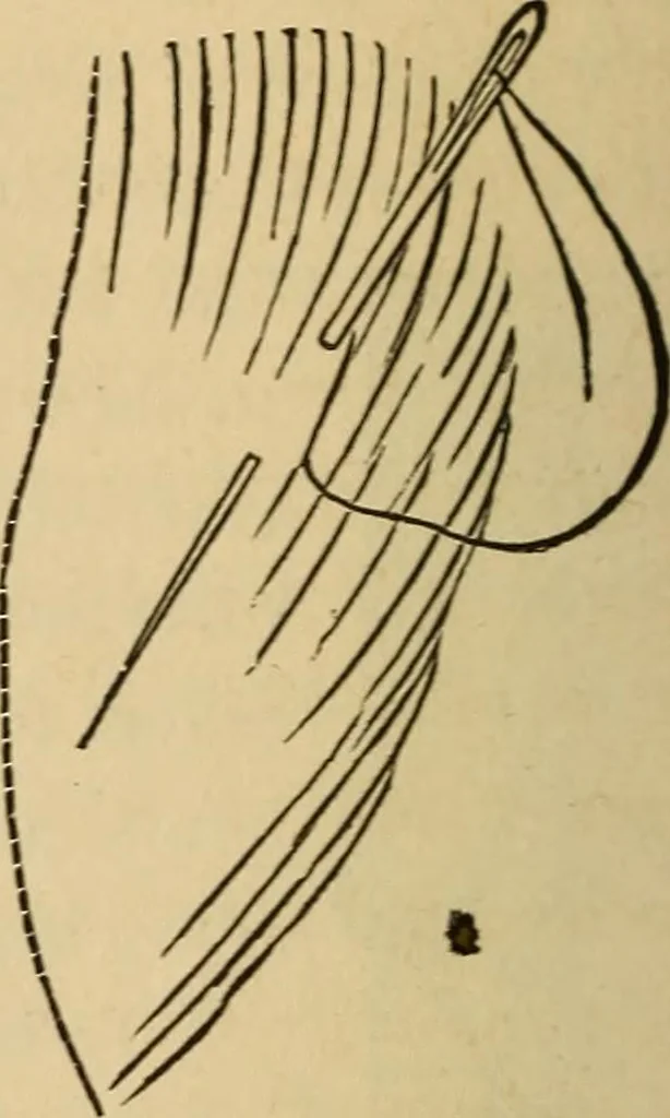 An illustration from Dainty work for pleasure and profit, 1893, leaf 30