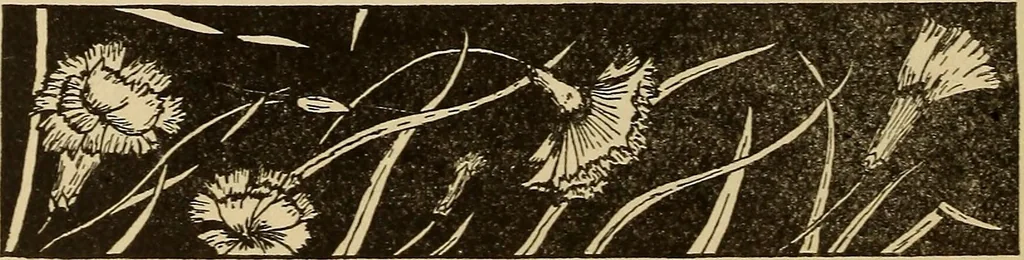 An illustration from Dainty work for pleasure and profit, 1893, leaf 304