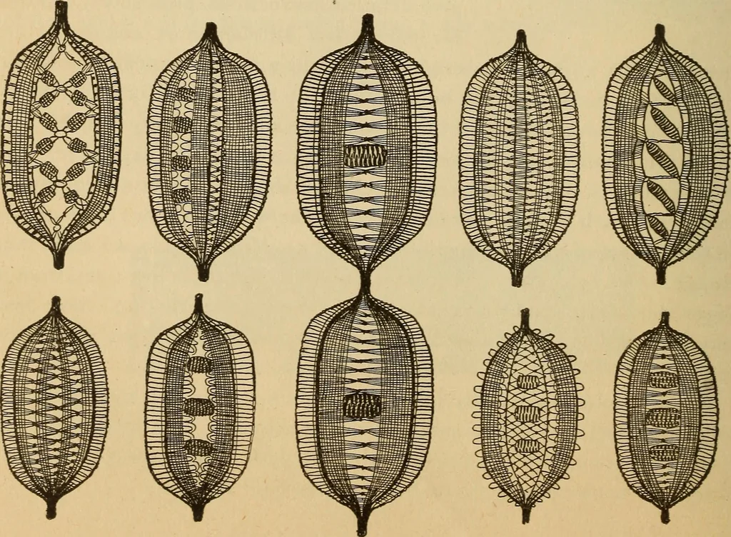 An illustration from Dainty work for pleasure and profit, 1893, leaf 306