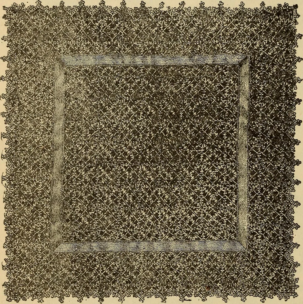 An illustration from Dainty work for pleasure and profit, 1893, leaf 366