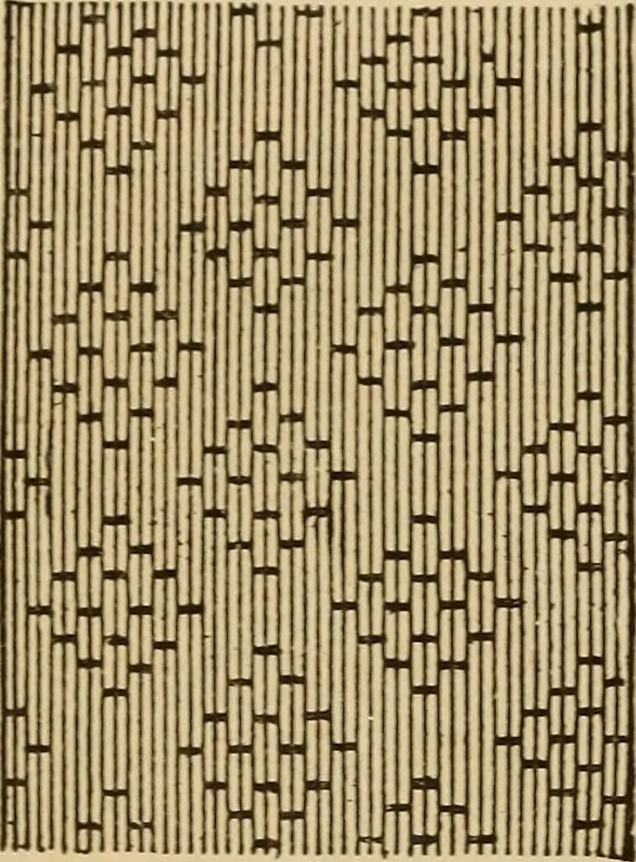 An illustration from Dainty work for pleasure and profit, 1893, leaf 38