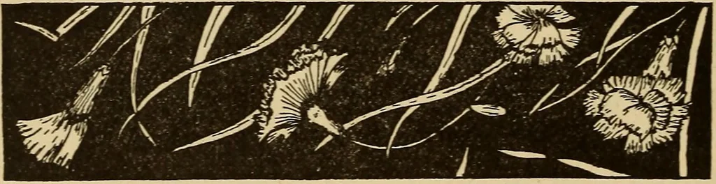 An illustration from Dainty work for pleasure and profit, 1893, leaf 394