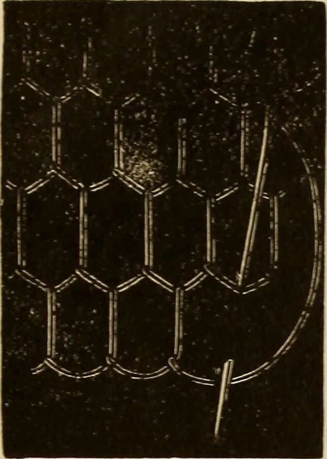 An illustration from Dainty work for pleasure and profit, 1893, leaf 40