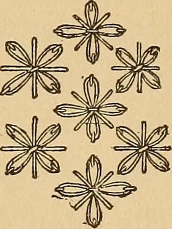 An illustration from Dainty work for pleasure and profit, 1893, leaf 41