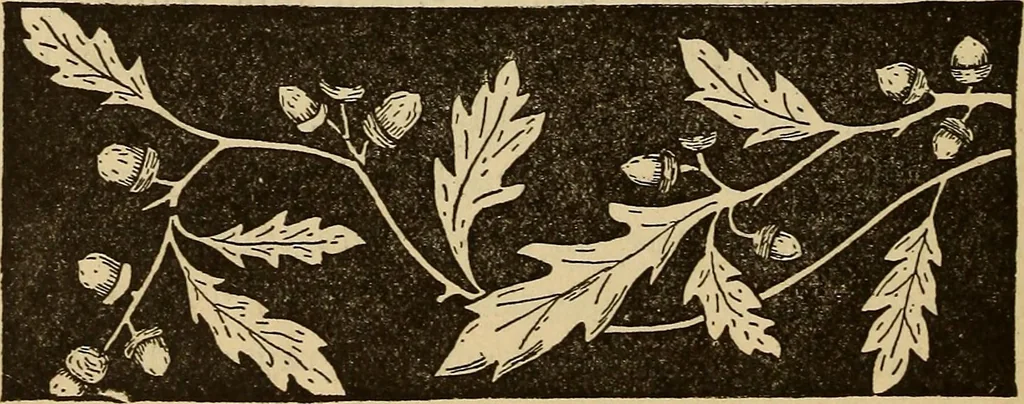 An illustration from Dainty work for pleasure and profit, 1893, leaf 430