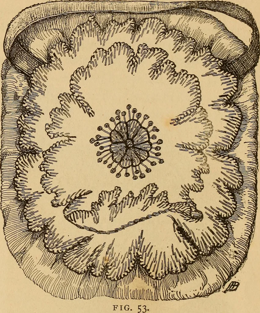 An illustration from Dainty work for pleasure and profit, 1893, leaf 55